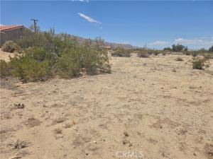 2 Sheridan Avenue 29 Palms CA 92277 | MLS #JT26128846 37 MLS #JT26128846 image #0