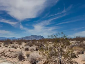 broker reciprocity