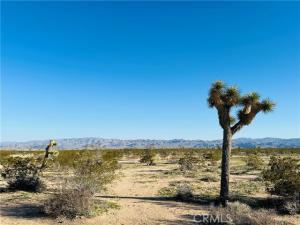 MLS #JT26152662 image #0