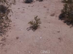 5440 Adobe Road 29 Palms CA 92277 | MLS #JT26154432 45 MLS #JT26154432 image #0