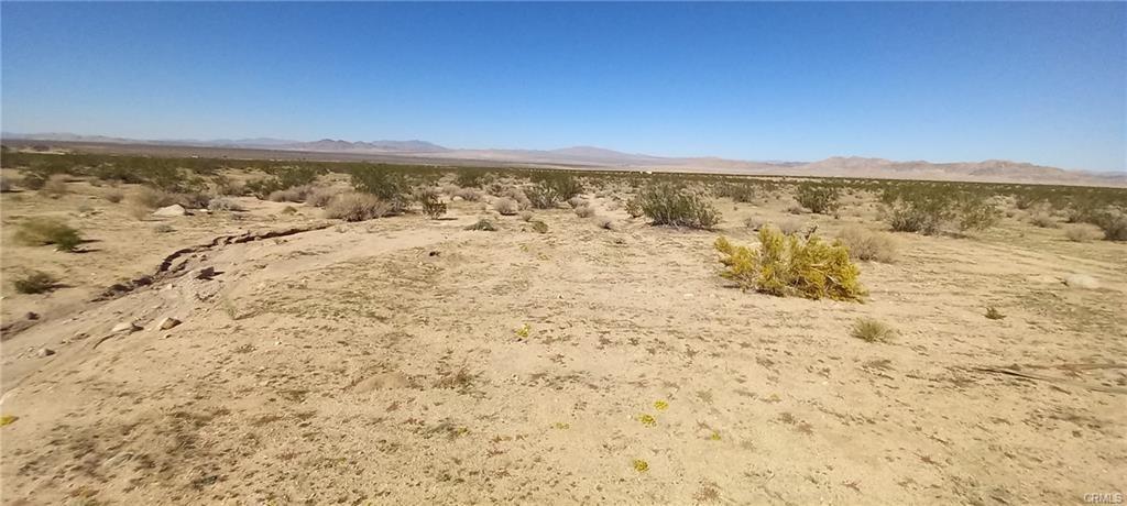 N Joshua Tree Road Johnson Valley CA 92285 | MLS #JT26157452 33 MLS #JT26157452 image #0