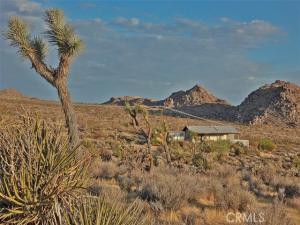 MLS #JT26160918 image #0