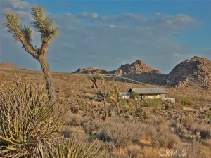 broker reciprocity