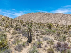 broker reciprocity