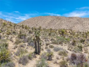 broker reciprocity