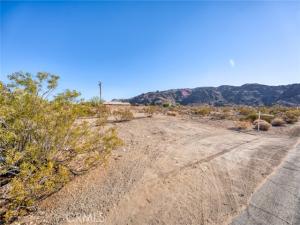MLS #JT26184700 image #0