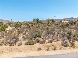 MLS #JT26185153 image #0