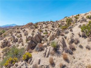MLS #JT26186373 image #0