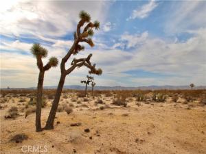 MLS #JT26188157 image #0