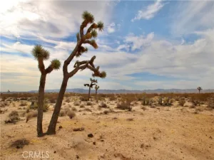 broker reciprocity