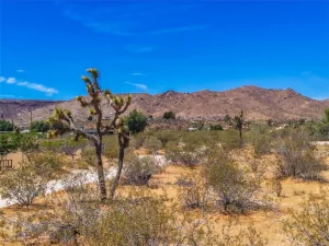 broker reciprocity