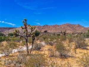 55926 Tananger Road Yucca Valley CA 92284 | MLS #JT26195807 45 MLS #JT26195807 image #0