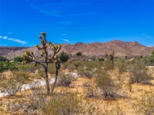 broker reciprocity
