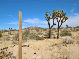 MLS #JT26203723 image #0