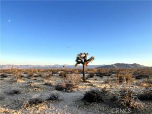 1010 Celeste Road Joshua Tree CA 92252 | MLS #JT26207611 45 MLS #JT26207611 image #0
