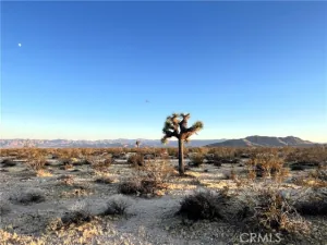 broker reciprocity