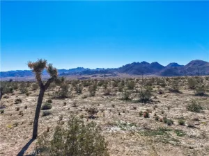 broker reciprocity