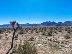 broker reciprocity