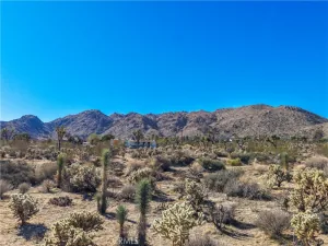 broker reciprocity
