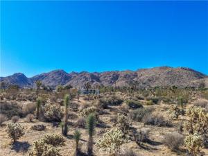 7505 Sherwood Road Joshua Tree CA 92252 | MLS #JT26209191 45 MLS #JT26209191 image #0