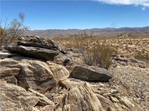 MLS #JT26217509 image #0
