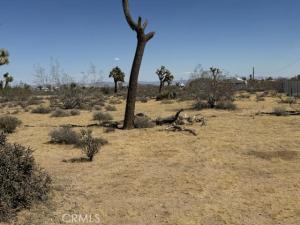 1234 alta Yucca Valley CA 92284 | MLS #JT26217551 45 MLS #JT26217551 image #0