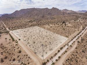 59369 Onaga Joshua Tree CA 92252 | MLS #JT26221308 45 MLS #JT26221308 image #0