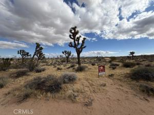 APN 0629-182-17-0000 Yucca Valley CA 92284 | MLS #JT26222941 45 MLS #JT26222941 image #0