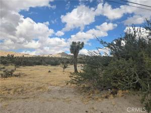 MLS #JT26225055 image #0