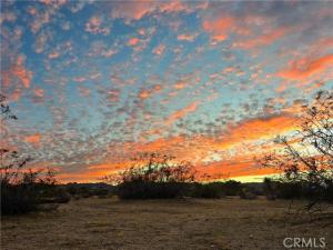 MLS #JT26228034 image #0