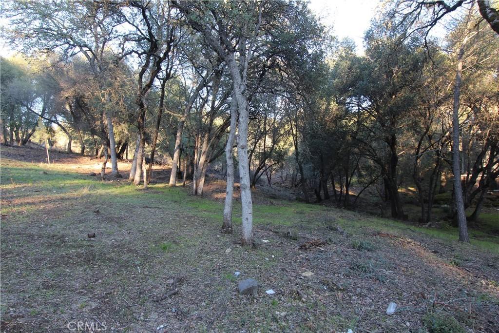 MLS #LC21250860 image #0