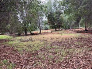 MLS #LC22080798 image #0