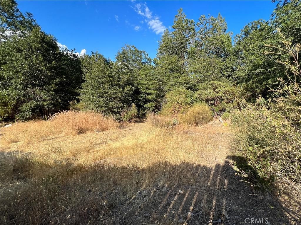 MLS #LC23163658 image #0