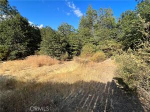MLS #LC23163658 image #0