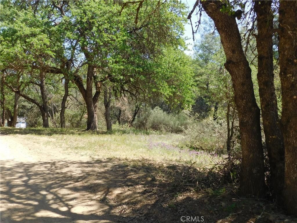 MLS #LC23181535 image #0