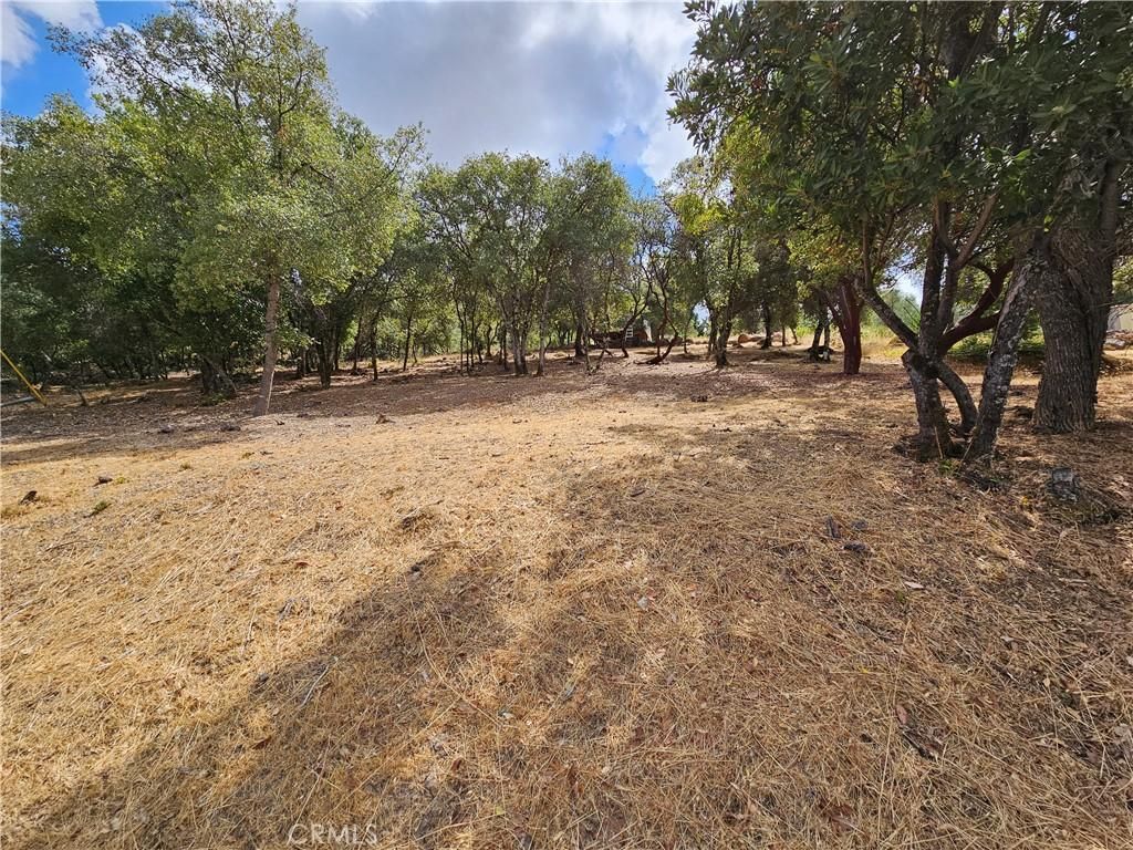 MLS #LC24178368 image #0