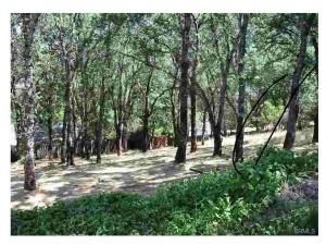 MLS #LC24255058 image #0