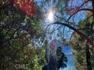 MLS #LC25070399 image #0