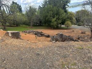 MLS #LC25073459 image #0