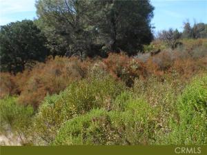 MLS #LC25102568 image #0