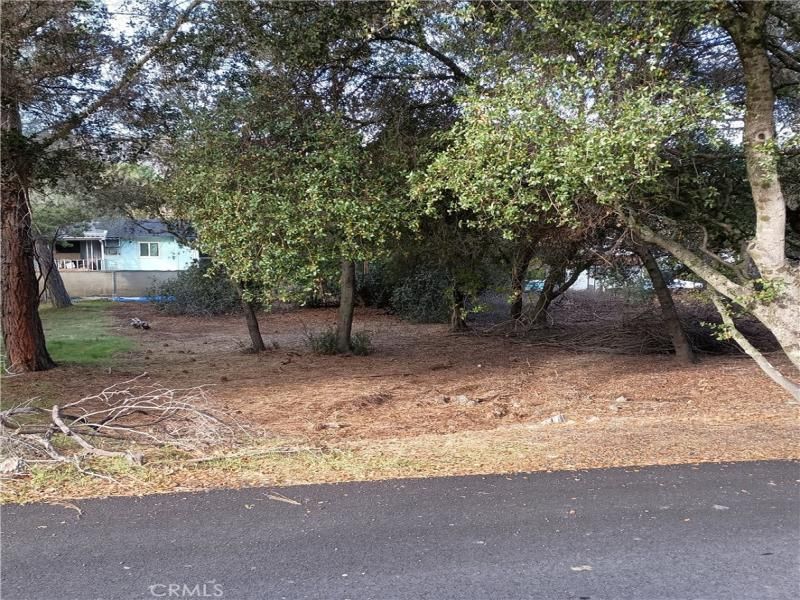 MLS #LC25104179 image #0