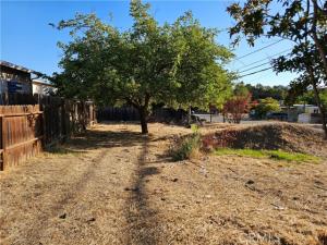 MLS #LC25125859 image #0