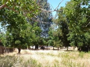 MLS #LC25133759 image #0