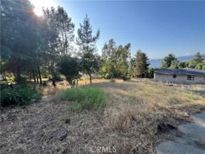 MLS #LC25134156 image #0