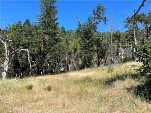 MLS #LC25140861 image #0