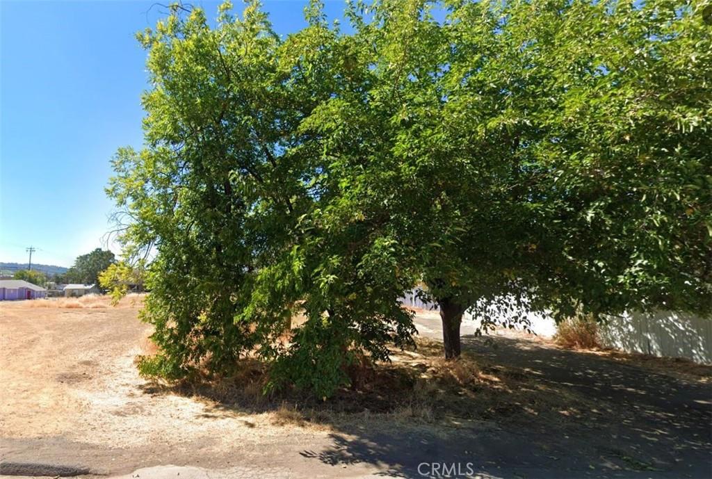MLS #LC25145753 image #0