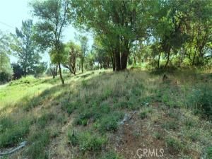 MLS #LC25160852 image #0