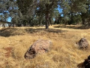 MLS #LC25174587 image #0