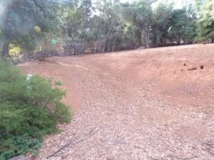 MLS #LC25177929 image #0