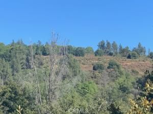 MLS #LC25180180 image #0